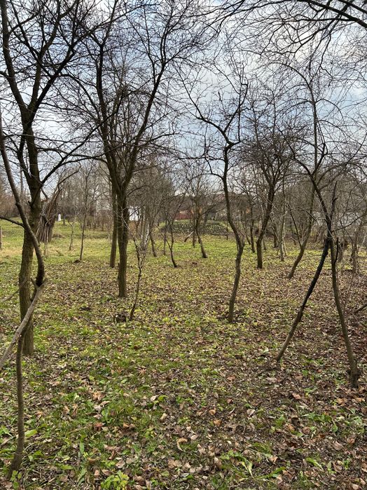 Продається! Ділянка в центрі Тисмениці по вулиці Шевченка!