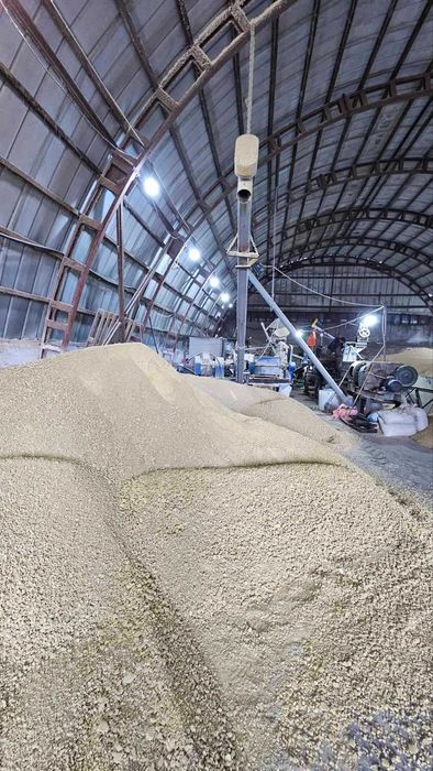 Соєва макуха, соєвий жмих, соєвий шрот (соєва олія)