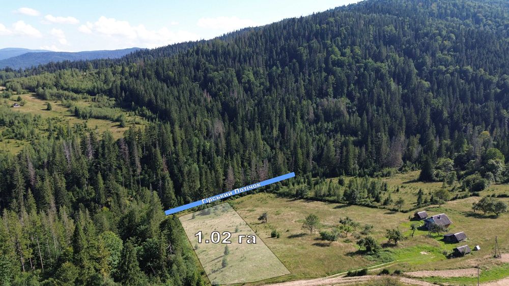 Ділянка в Карпатах, Микуличин 25сот,біля потічка, власник