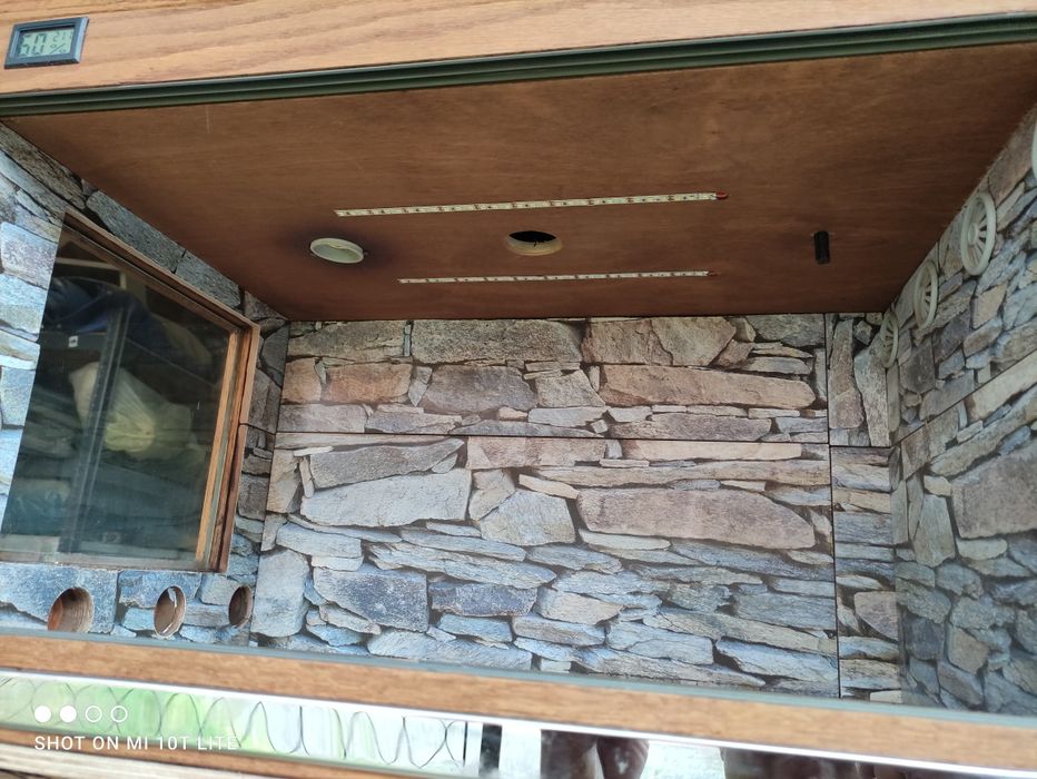 Terrarium dla zółwia