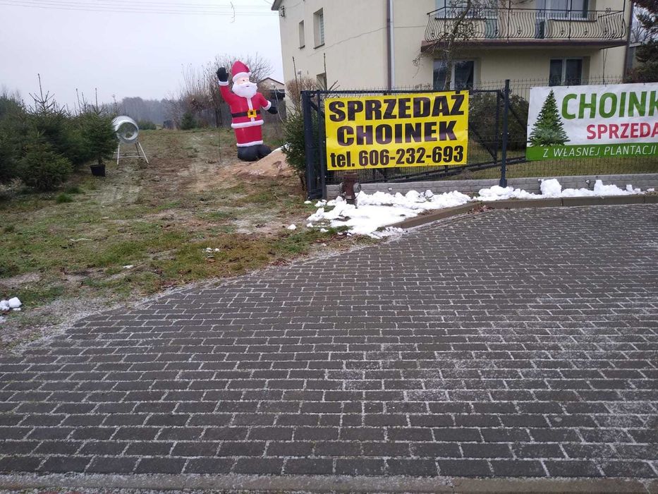 Choinki - Grubale 39 k. Siedlec