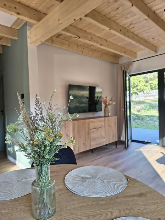 Domek nad jeziorem 'w sam las'