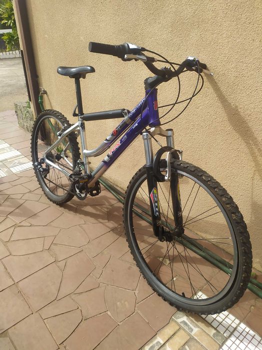 Duas bicicletas (homem e mulher)