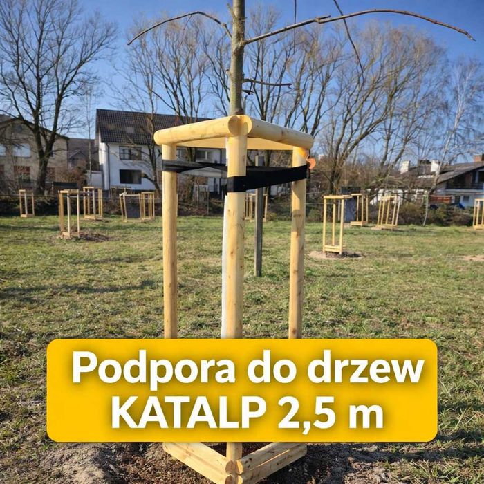 Podpora do drzew KATALP 2,5m – zestaw impregnowany (taśmy + wkręty)