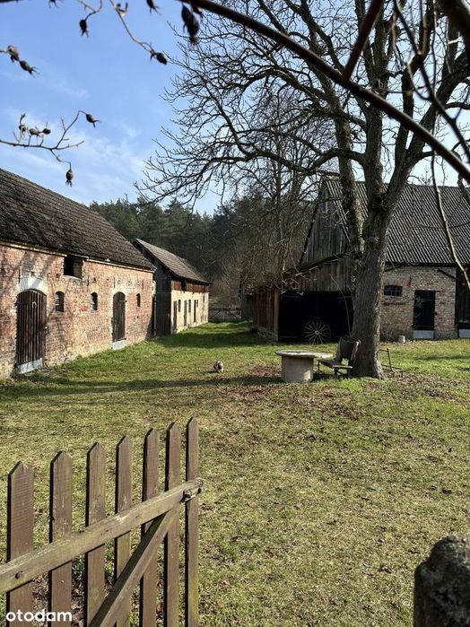 Domek przy lesie, z zabudowaniami, blisko jeziora