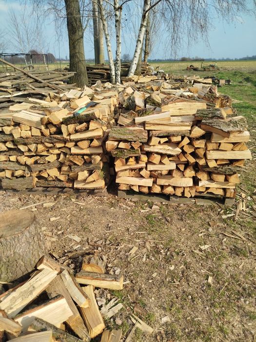 Drewno kominkowe dąb