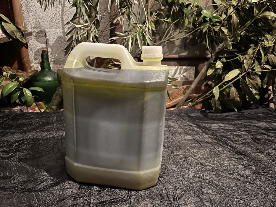 Azeite Biologico 2025