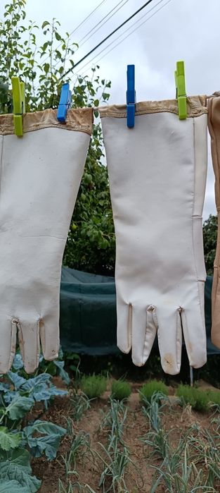 Material de Apicultura