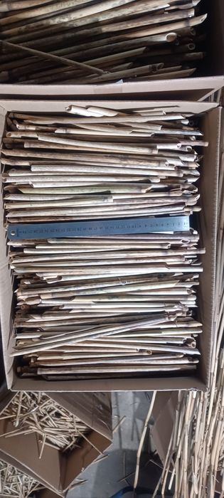 Trzcina pszczoła murarka domek dla pszczół owadów