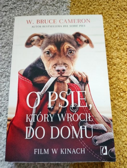 Książka ,,O psie, który wrócił do domu"