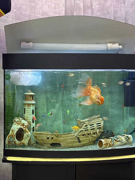 Аквариум 120 литров+Тумба