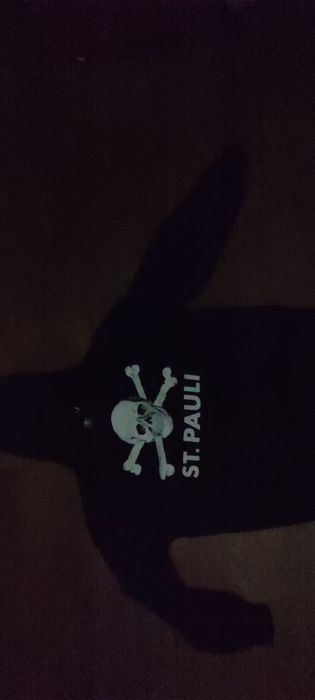 Продам  st.pauli