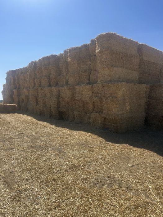Fardos de feno e palha