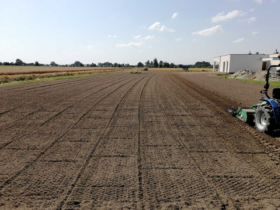 Glebogryzarka separacyjna Dojazd 100 km GRATIS!!!