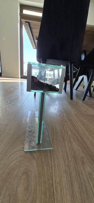 Formikarium arena terrarium