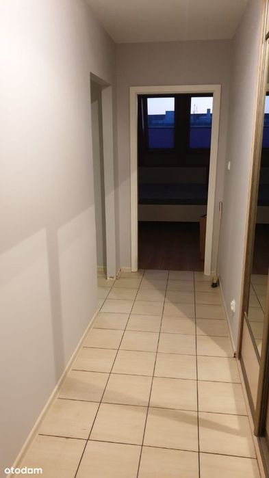 Do wynajęcia mieszkanie