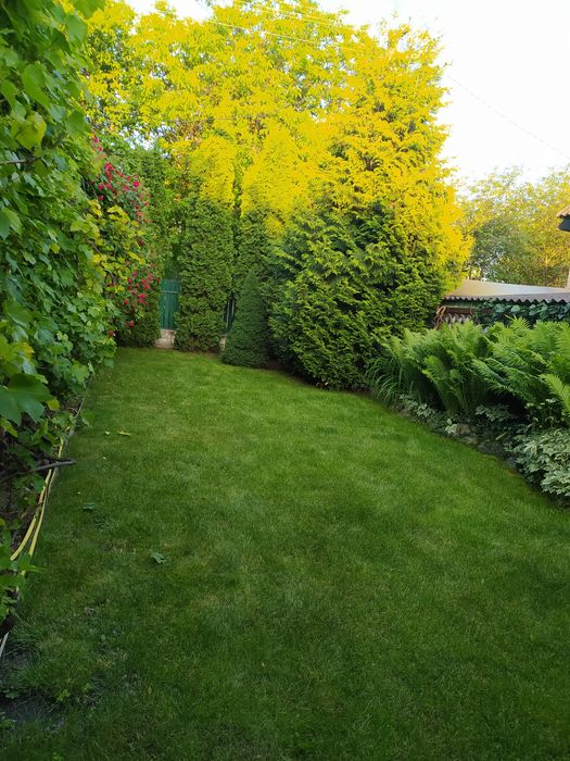 Загородный дом возле Черкасс