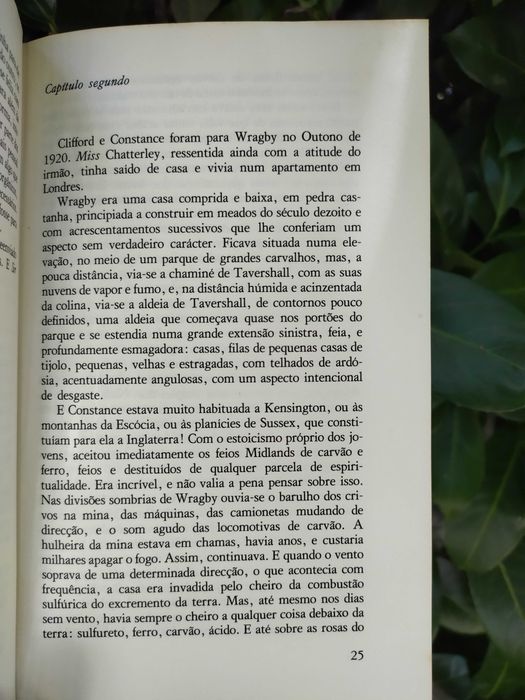O amante de Lady Chatterley (D. H. Lawrence)