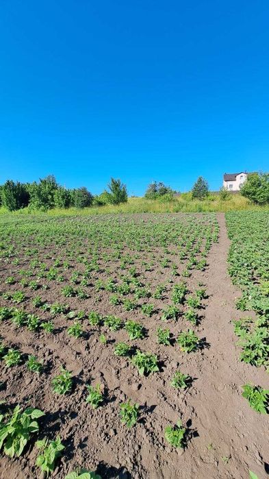 Земельна ділянка в Дубово чудове місце для садівництва та відпочинку!