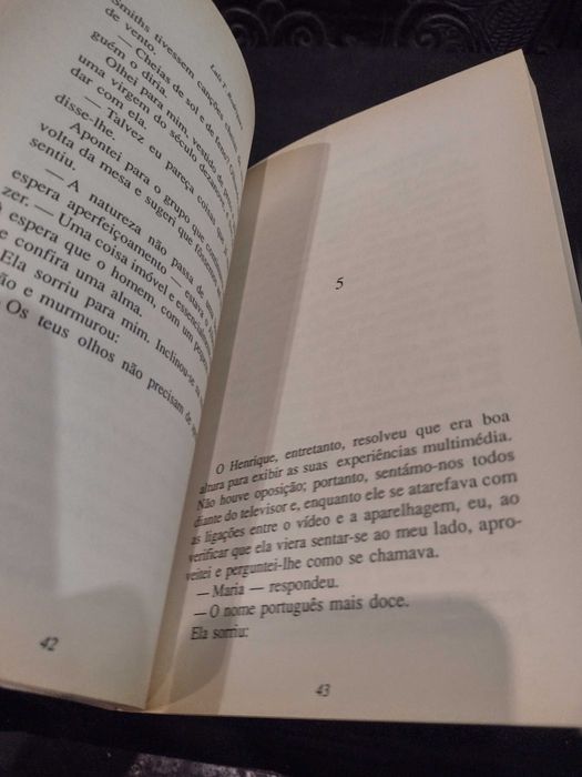 Os Dias Felizes - Luís T. Rodrigues