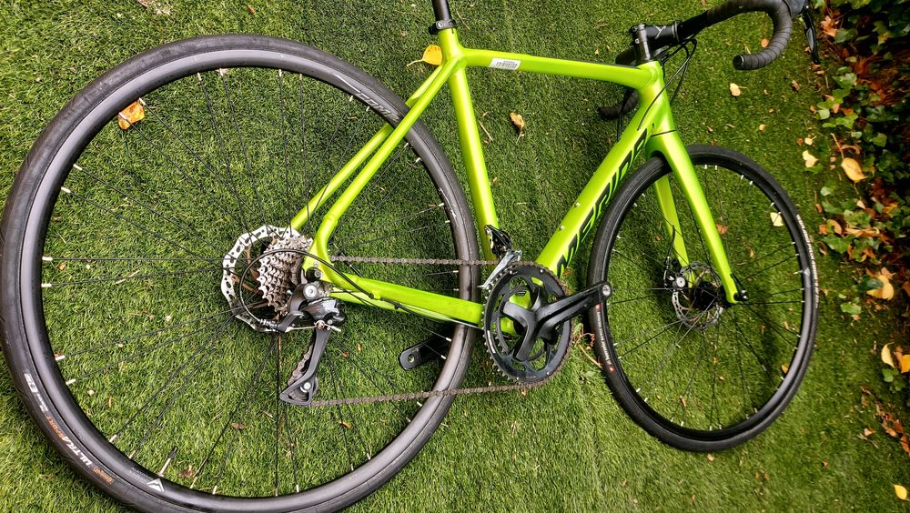 Mérida disco  t53