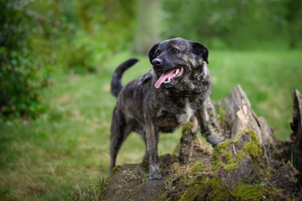 Kobi proś o miłości i dom