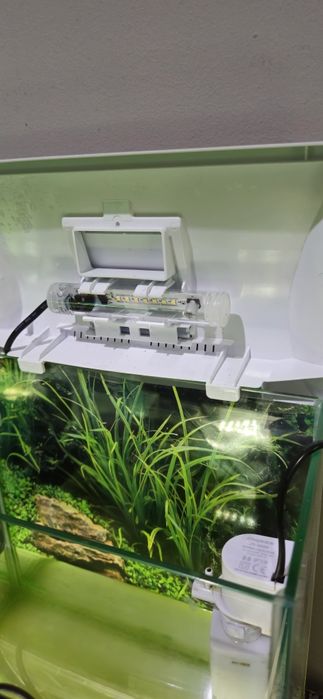 Akwarium   12 l aquael