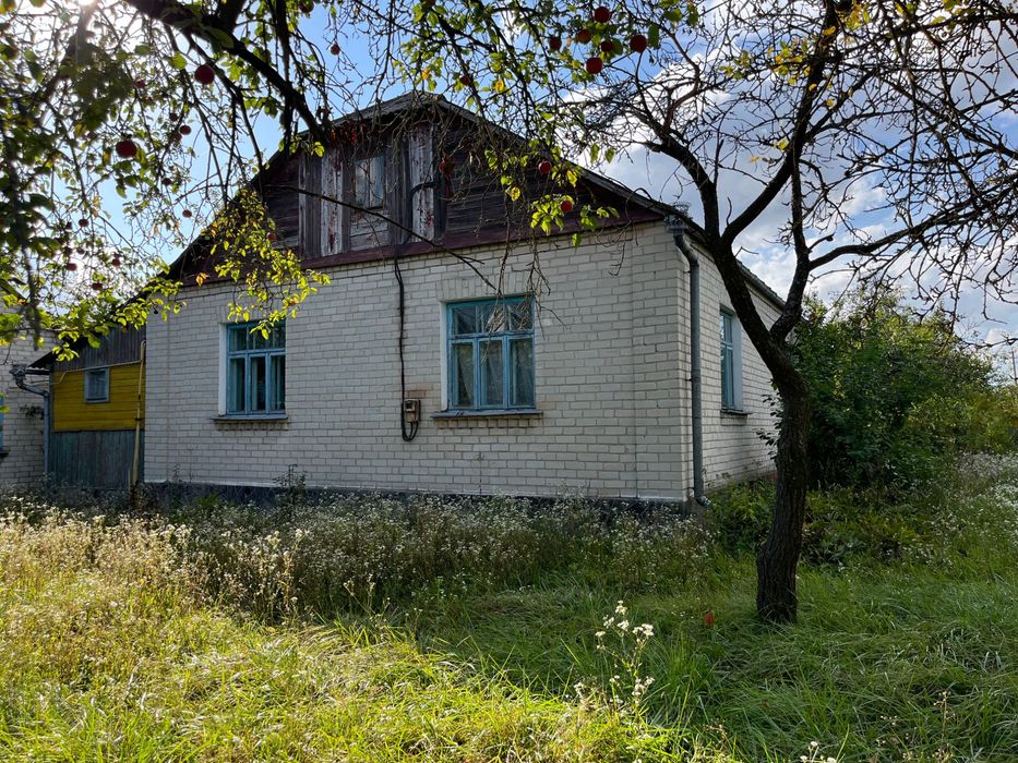 Будинок великий цегляний