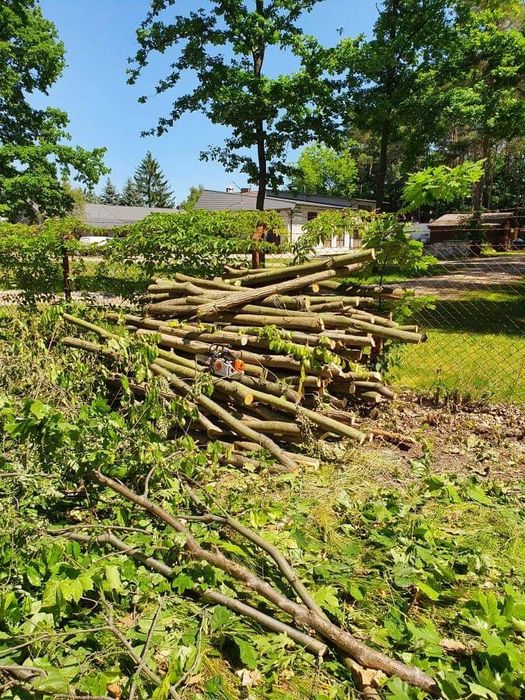 Wycinka pielęgnacja drzew koszenie czyszczenie działek rębak mielenie