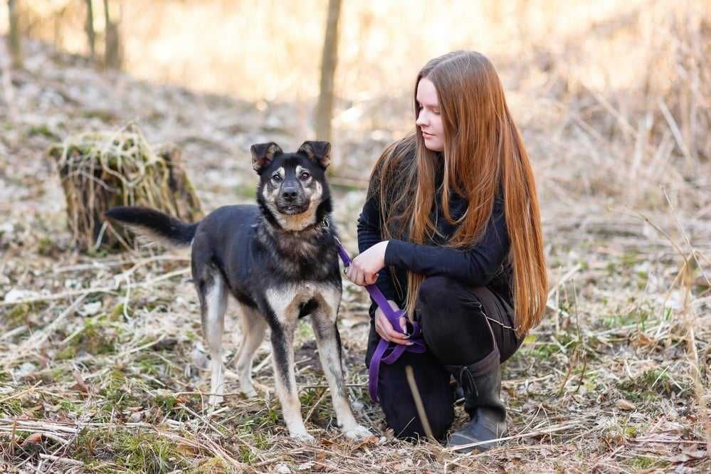 F-I-L-I   - lubi KOTY,  6-letni, łagodny, miły. [FILMIKI}