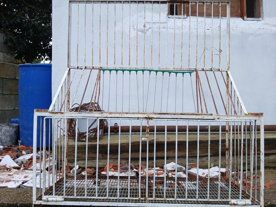 Acessórios para pombos correios