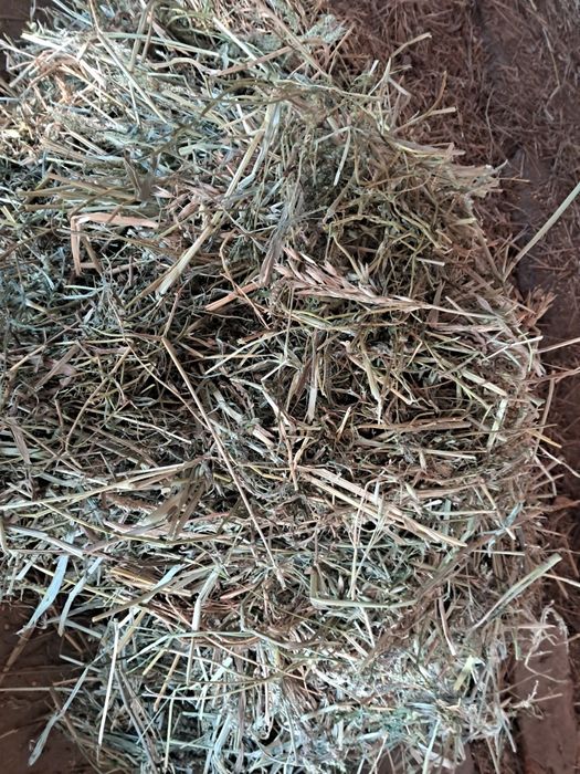 Продам тюки сіна