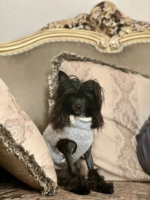 КХС. Девочка. Пуховка