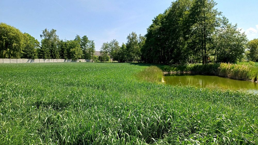 Sprzedam ziemię rolną z możliwością uzyskania warunków zabudowy - Widok 5