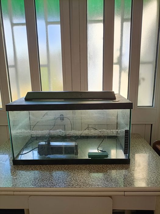Aquário 62x33x32