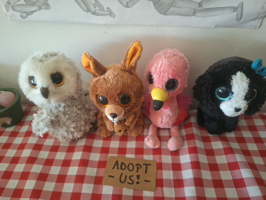 Peluches ty beanie boos