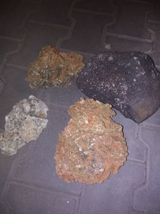 Kamienie wapienne, koralowiec