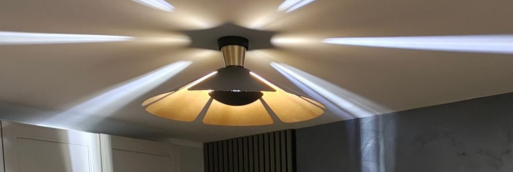 Piękna Lampa sufitowa