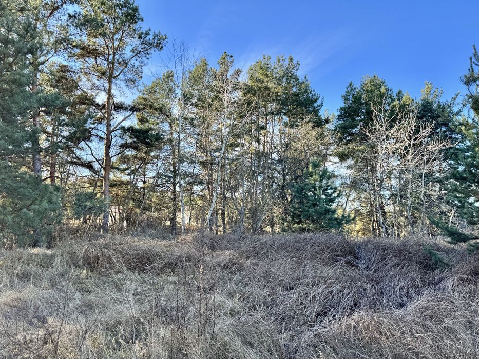 Земельна ділянка 8 Га! Ясногородка!