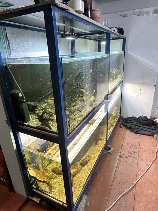 Акваріум Стойка на 4 акваріума по 250 л