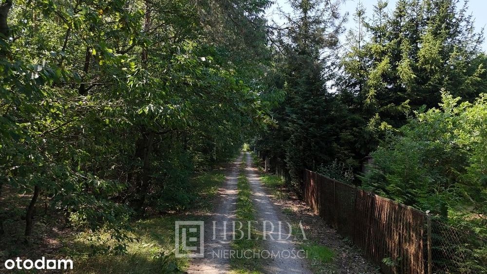 Działka rekreacyjna z domkiem - 595 m² - Krasne - Więcej