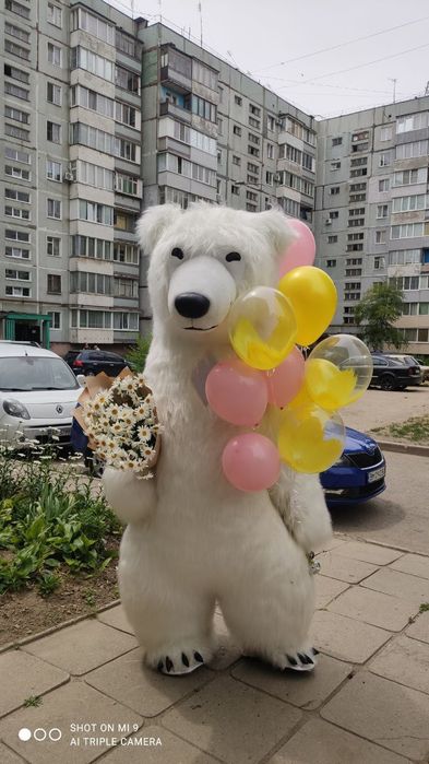 Белый мишка поздравление шары медведь Запорожье