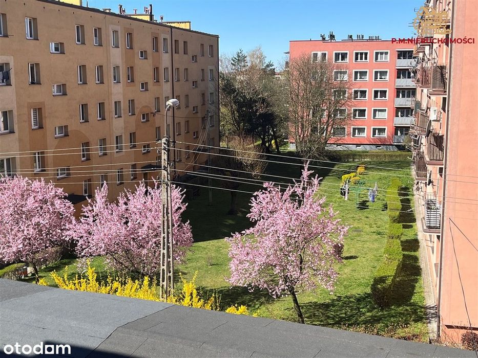 Duże mieszkanie z potencjałem-Rybnik Chwałowice
