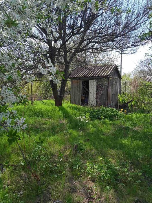 Дачна ділянка у кооперативі "Будівельник"
