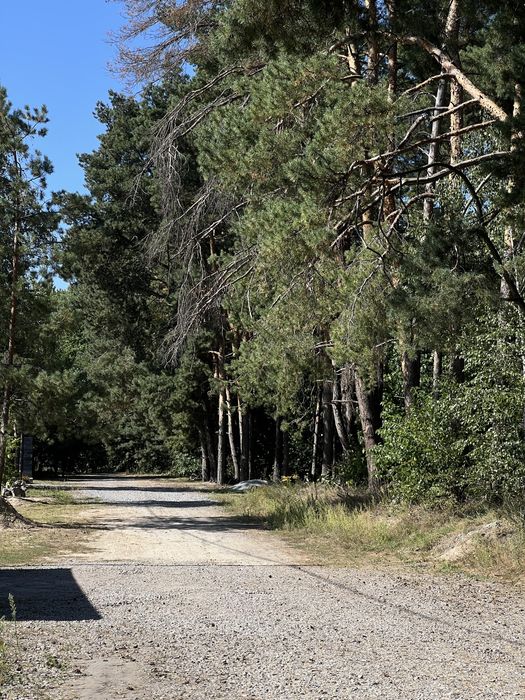 Купуй будинок біля лісу і отримай генератор в подарунок