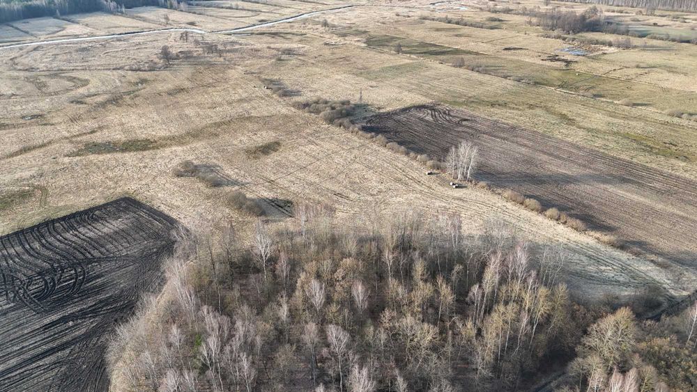 syndyk sprzeda nieruchomość rolną niezabudowaną w miejscowości Samborowo