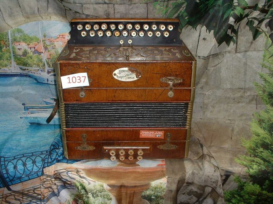 Promoção de Acordeões e concertinas em lote