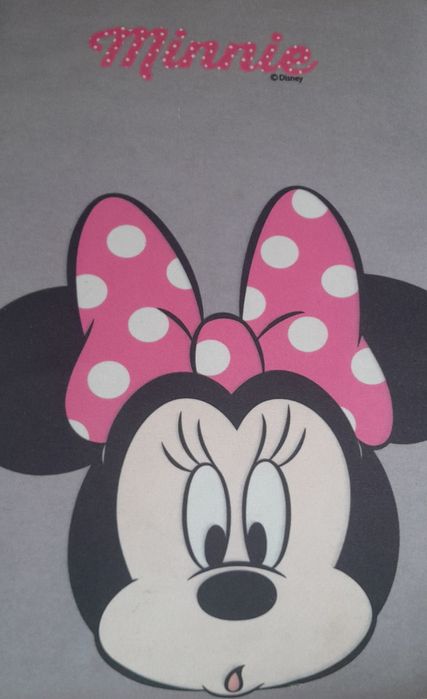 Banco auto minnie 22-36Kg