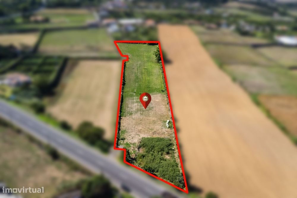 Terreno Rústico RIbeira Grande