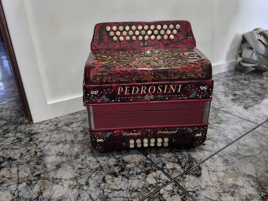 Concertina pedrosini